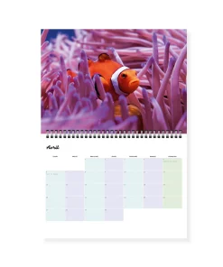 Alternative view of Calendrier photos – Vie sous-marine