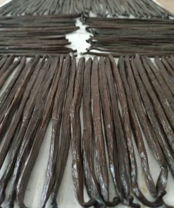 Alternative view of 250g Vanille Bourbon Noire Gourmet 16 cm+