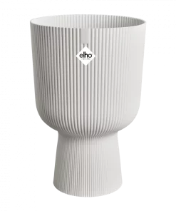 Vibes Fold Coupe – Blanc Soie