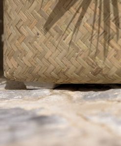 Alternative view of Zayn – Bamboo