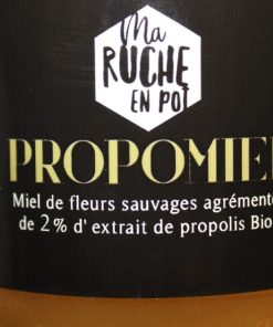 Alternative view of “PROPOMIEL” BIO – Miel & Propolis